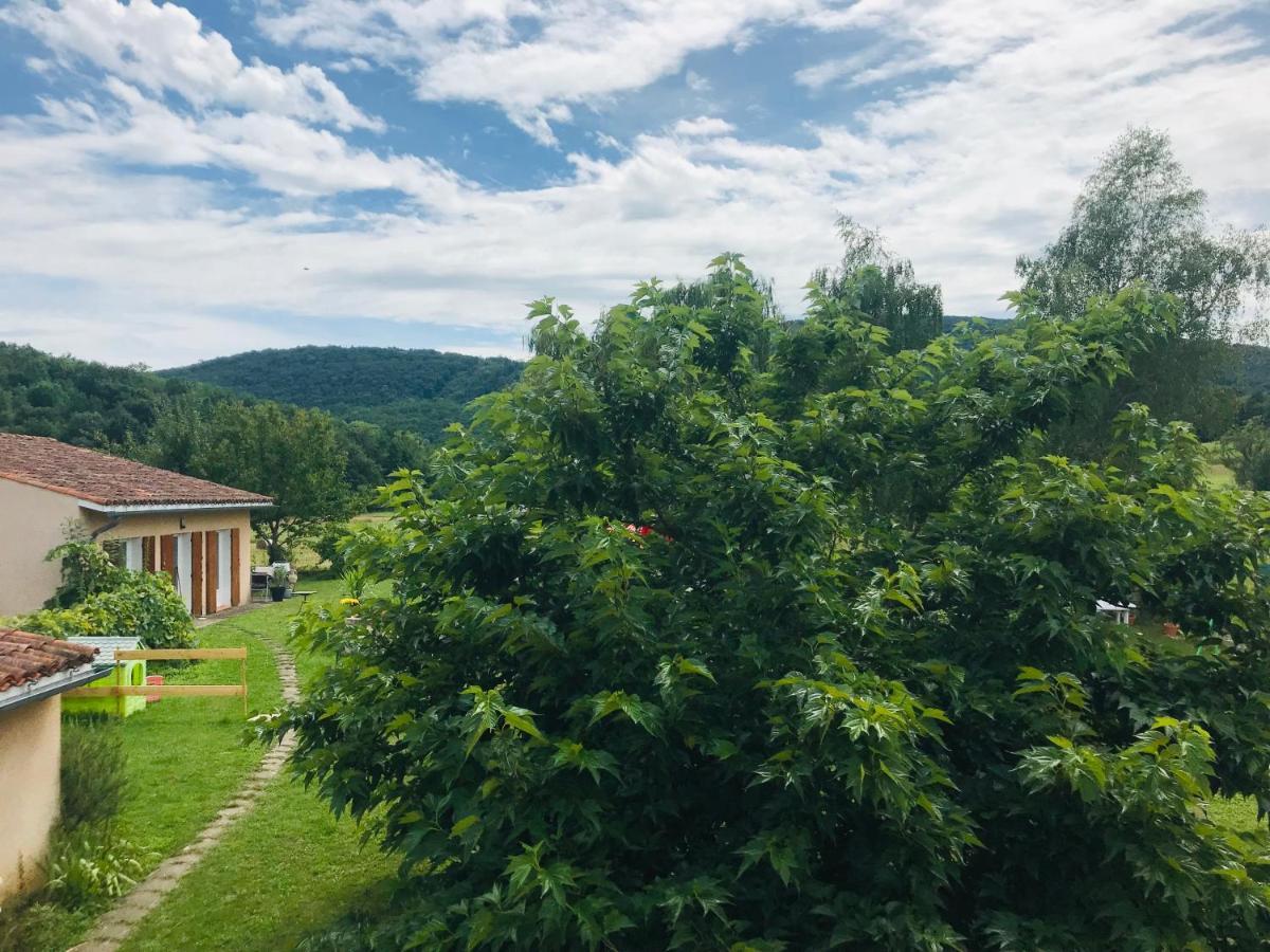 Maison tranquillité Montegut-Plantaurel Exterior foto